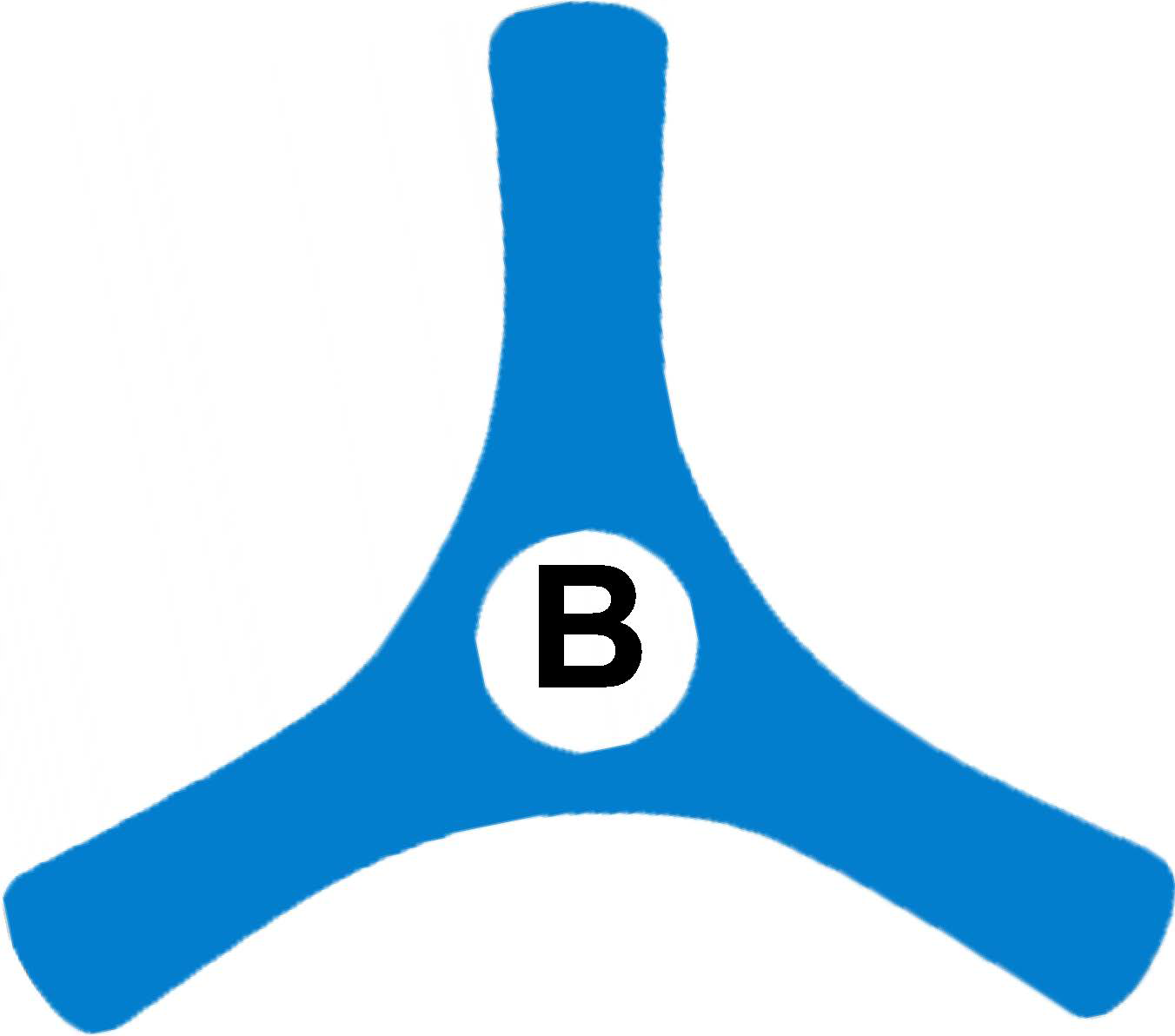 Logo_Bumerang_construct